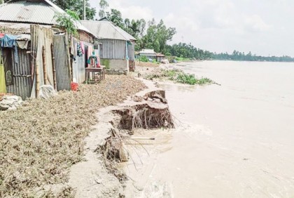 মৌলভীবাজারে কমছে নদীর পানি, বন্যার পানি বাড়ছে হাওরে