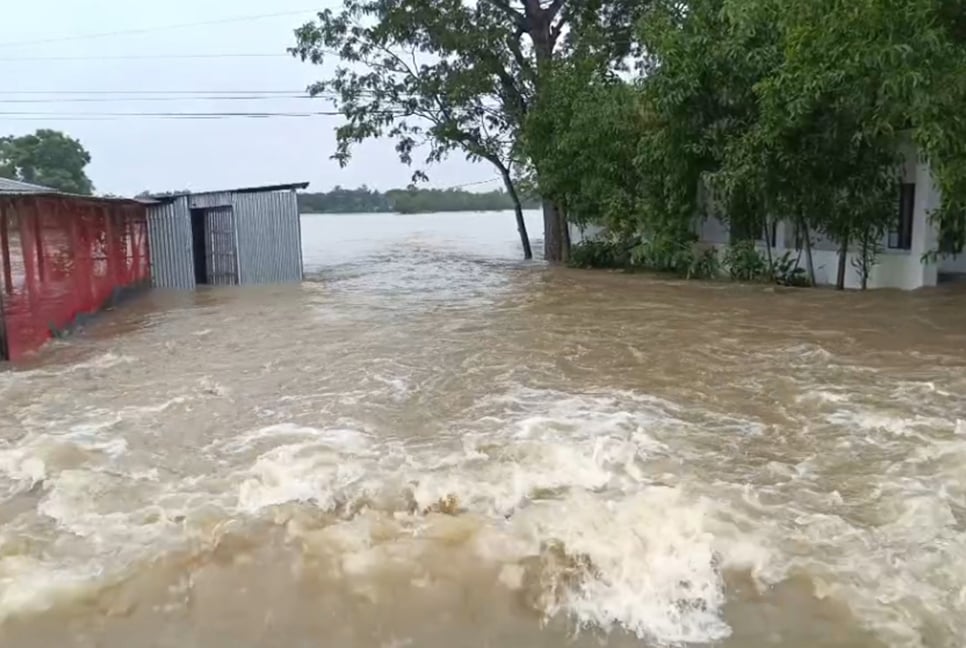 ব্রাহ্মণবাড়িয়ায় বন্যায় ভেসে গেছে ১৯ কোটি টাকার মাছ