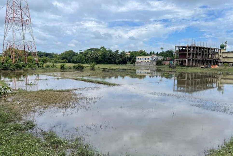 চট্টগ্রামে বন্যায় কৃষি ও মৎস্য খাতে ক্ষতি ৬৮২ কোটি টাকা