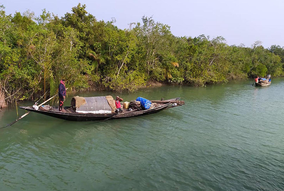 উঠল নিষেধাজ্ঞা, কাল থেকেই প্রবেশ করা যাবে সুন্দরবনে