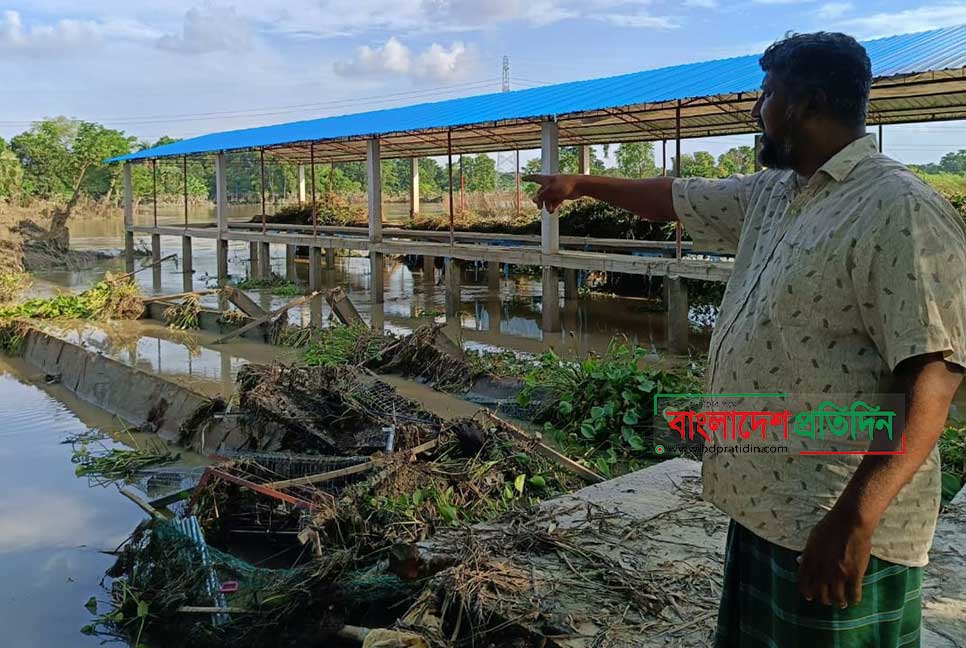 গোমতীর বাঁধ ভাঙা স্রোতে ভেসে গেছে লিয়াকতের স্বপ্ন