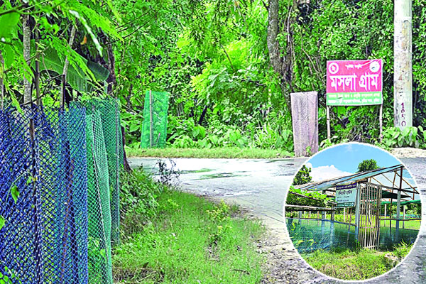 মসলা চাষে আগ্রহ বাড়ছে কৃষকের