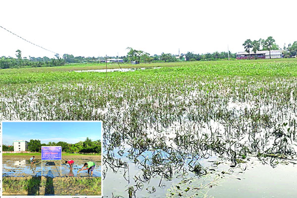 এবার ঘুরে দাঁড়ানোর লড়াই