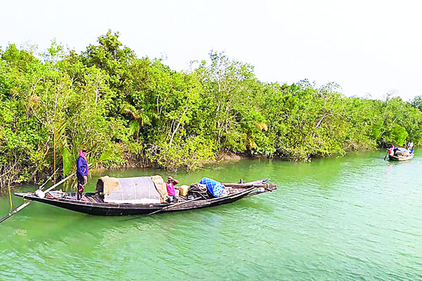 সুন্দরবনে নিষেধাজ্ঞা শেষ