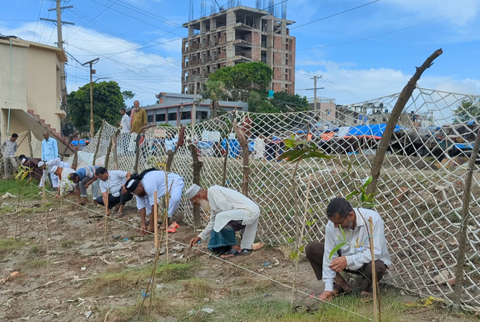 কুয়াকাটায় তালের বীজ রোপণ