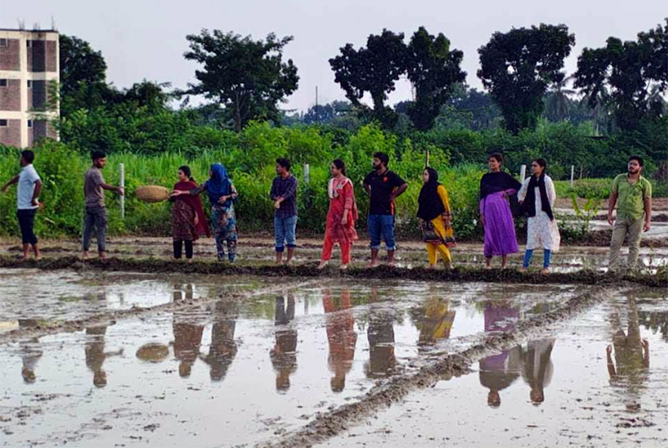 ক্ষতিগ্রস্ত কৃষকদের সবজি এবং ধানের 
চারা বিনামূল্যে বিতরণ করবে হাবিপ্রবি