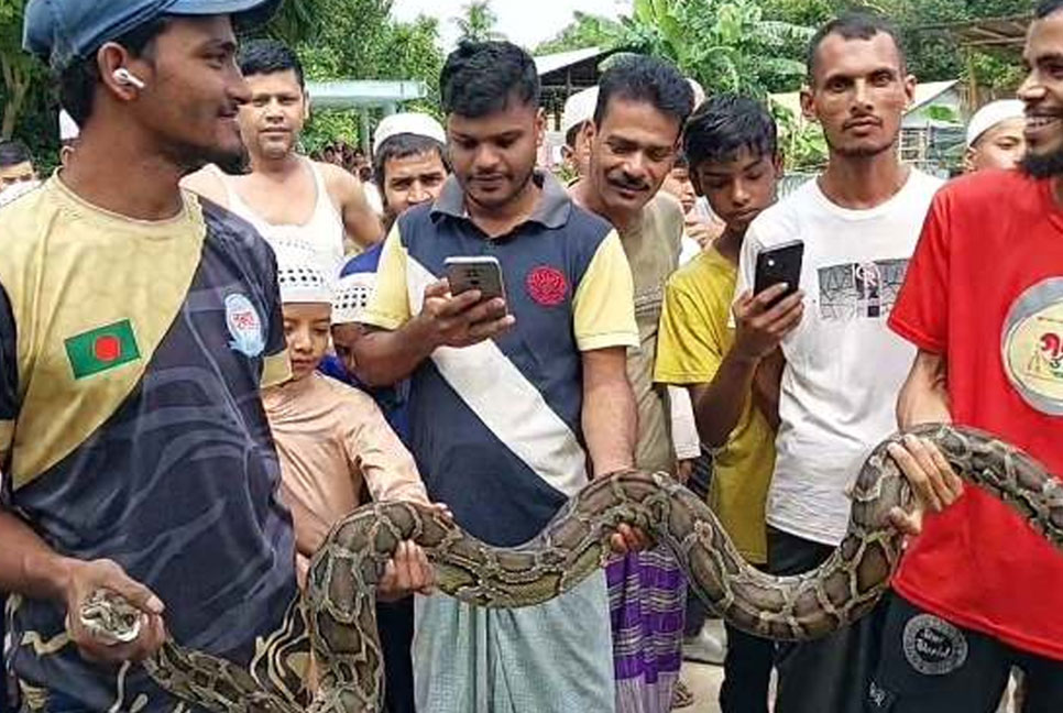 ৭ ফুট লম্বা অজগর সাপ উদ্ধার