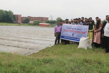 বন্যায় ক্ষতিগ্রস্থ কৃষকদের জন্য ধানের চারা তৈরি করছেন বশেমুরকৃবি’র শিক্ষার্থীরা