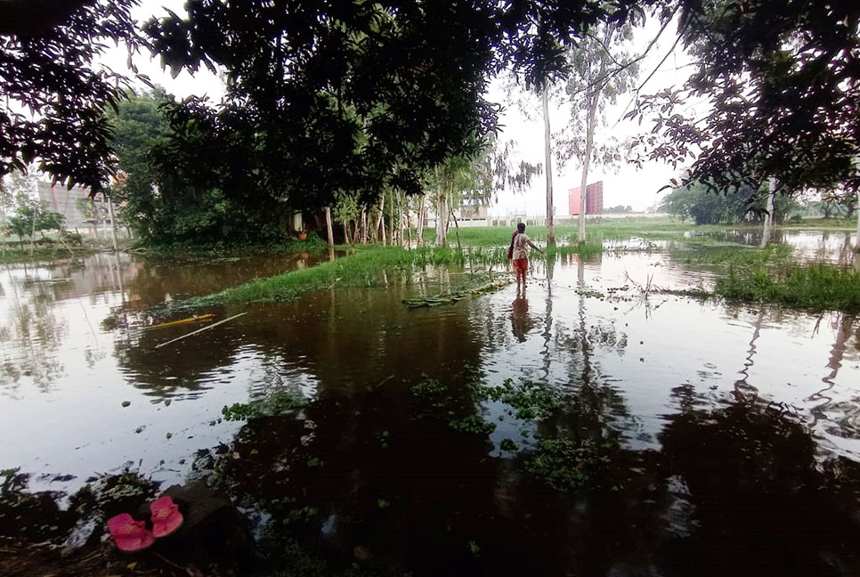 কালভার্টের মুখ ভরাট করলেন আওয়ামী লীগ নেতা, 
শতাধিক বিঘা জমিতে জলাদ্ধতা