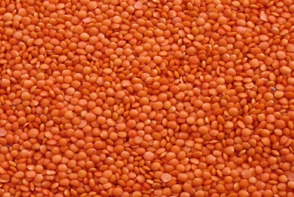 ৯৮ কোটি টাকায় ১০ হাজার টন ডাল কেনার অনুমোদন