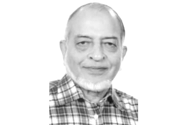 বাবুই পাখি : কুঁড়েঘরে থেকে কর শিল্পের বড়াই