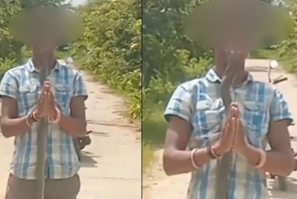 মুখে সাপ ঢুকিয়ে রিলস বানাতে গিয়ে প্রাণ গেল যুবকের (ভিডিও)