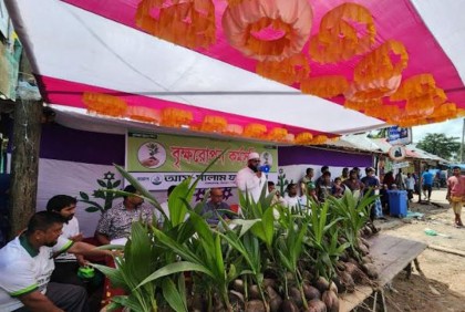 রায়পুরে দুই হাজার গাছের চারা বিতরণ