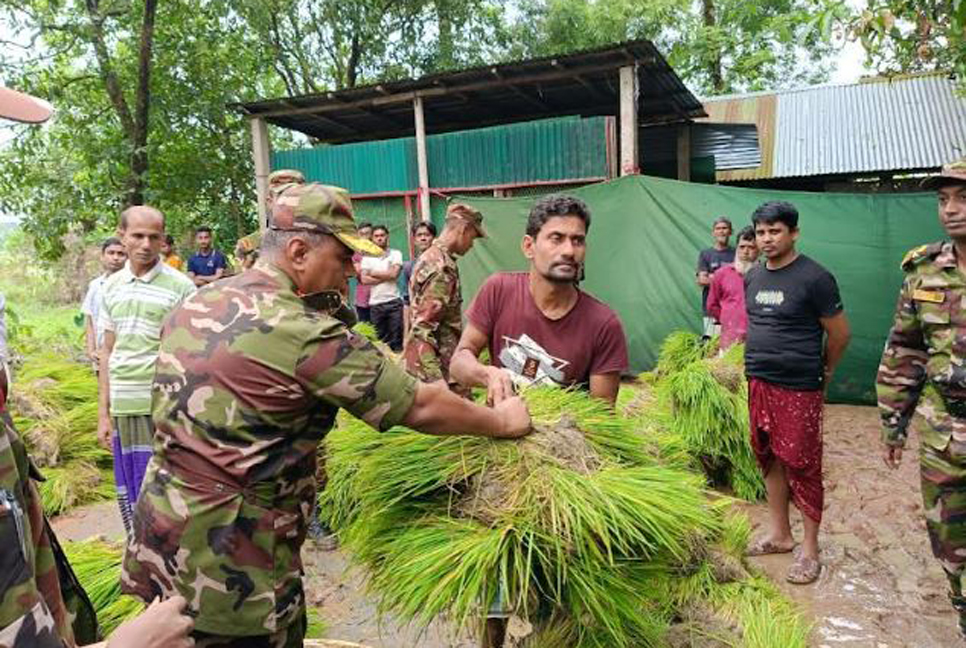 কুমিল্লায় শতাধিক পরিবারের মাঝে ধানের চারা বিতরণ