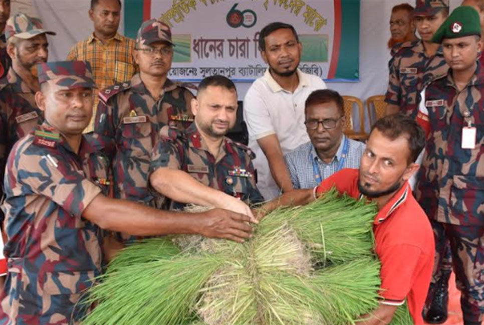 কসবায় ধানের চারা বিতরণ