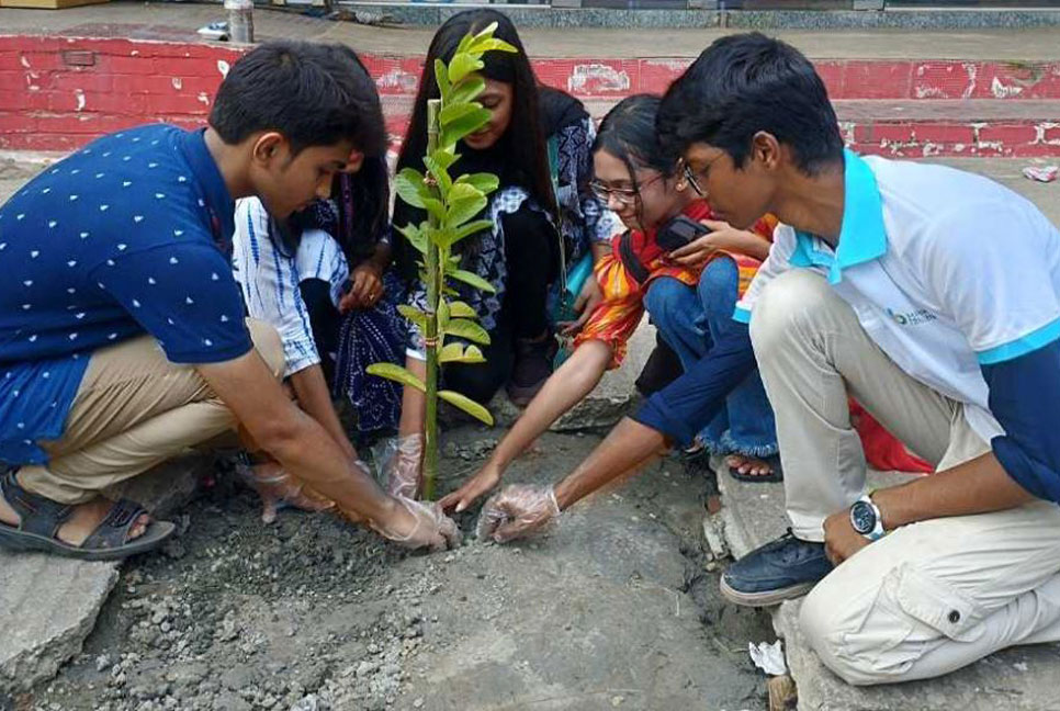 ডিভাইডার ও ফুটপাতের ফাঁকা স্থানে বৃক্ষরোপণ বসুন্ধরা শুভসংঘের