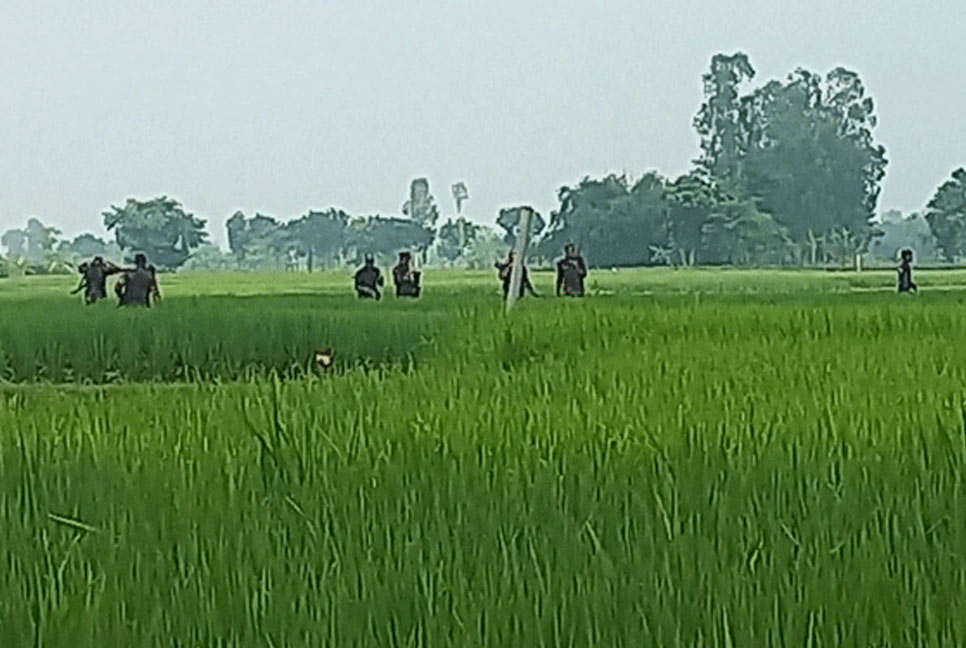 সীমান্তে ফের বিএসএফের কাঁটাতারের বেড়া নির্মাণ, বিজিবির বাধা