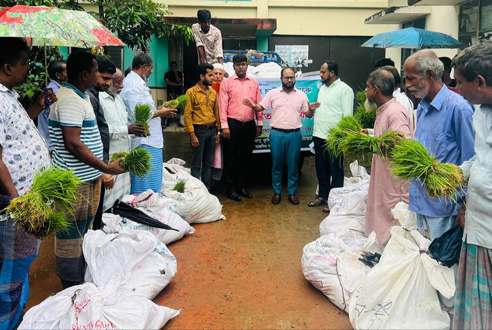 বন্যায় ক্ষতিগ্রস্ত কৃষকের মাঝে ধানের চারা বিতরণ