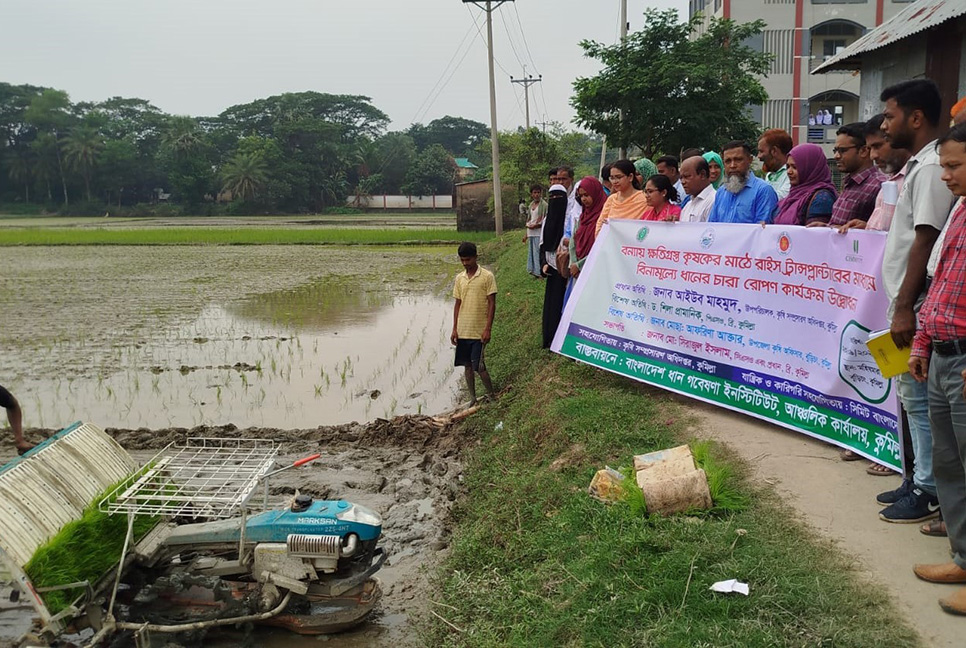 বুড়িচংয়ে রাইস ট্রান্সপ্লান্টারের মাধ্যমে বিনামূল্যে ধানের চারা রোপণ