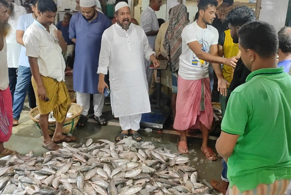 চাঁদপুরে তবুও বেড়েছে ইলিশের দাম