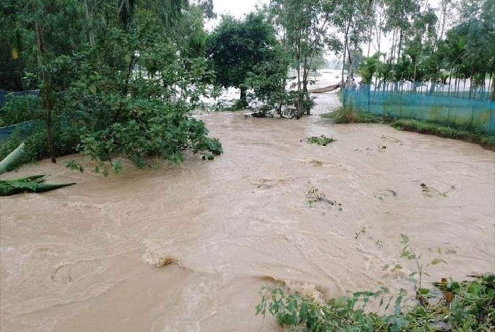 শেরপুরের মহারশি নদীর বাঁধ ভেঙে নিচু এলাকা প্লাবিত