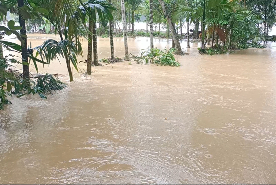 শেরপুরে প্লাবিত হচ্ছে নতুন নতুন এলাকা, তিনজনের মৃত্যু