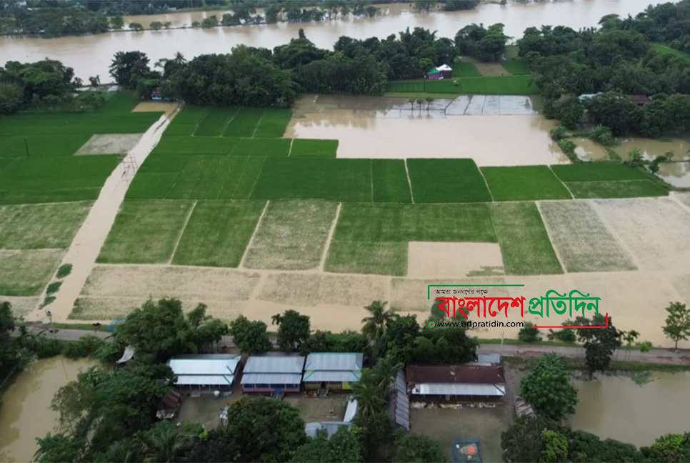 নেত্রকোনায় কমছে বন্যার পানি, ২২ হাজার হেক্টর জমির ফসল নষ্ট 