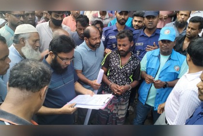 বরিশালে ইলিশ মাছ বিক্রেতার কারাদণ্ড
