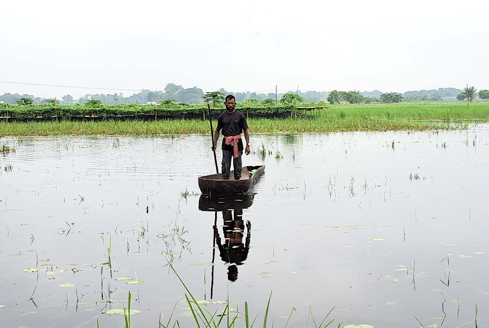 ভারী বর্ষণে নড়াইলে মৎস্য ও কৃষিতে শত কোটি টাকার ক্ষতি