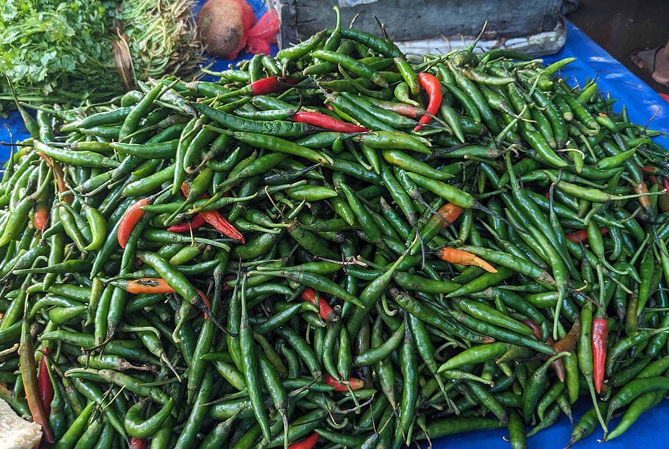 
বাগেরহাটে কাঁচা মরিচ ৬০০ টাকা কেজি
