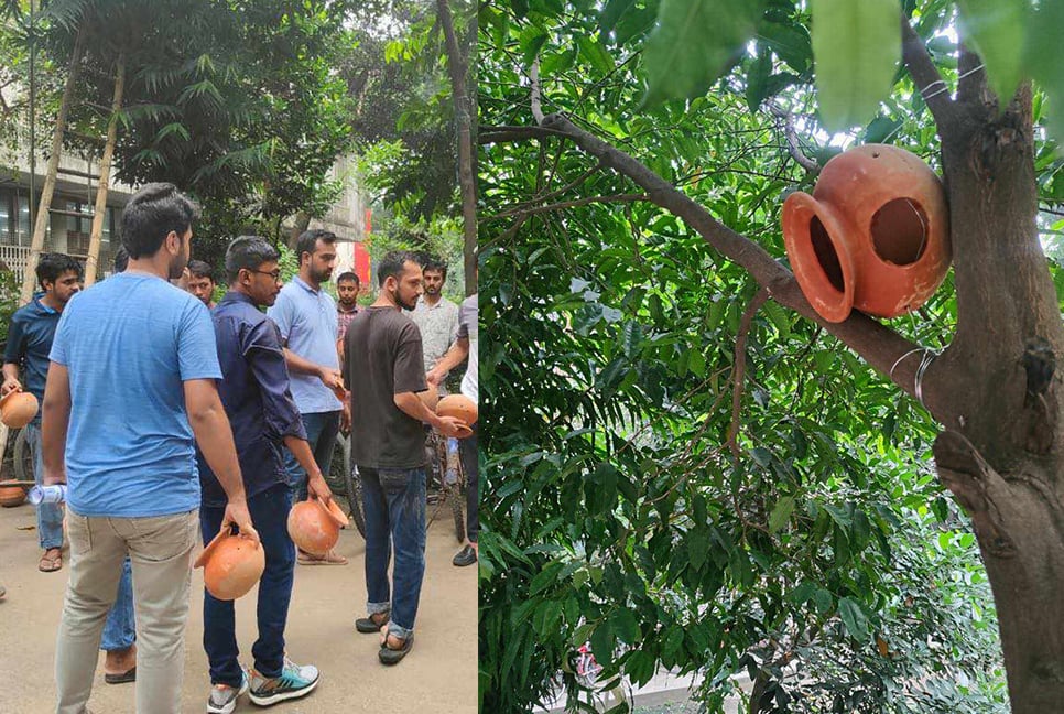 ঢাবিতে পাখিদের জন্য গাছে গাছে মাটির হাঁড়ি 