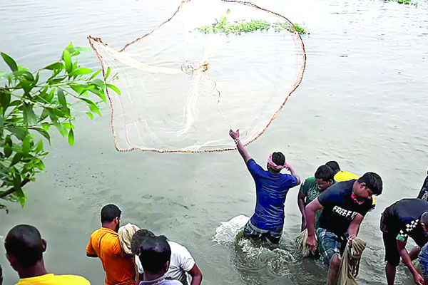 মাছ ধরার উৎসব