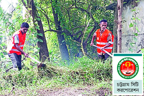 অন্ধকারে মশক গবেষণাগার