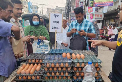 ১৪০ টাকায় মিলছে এক ডজন ডিম