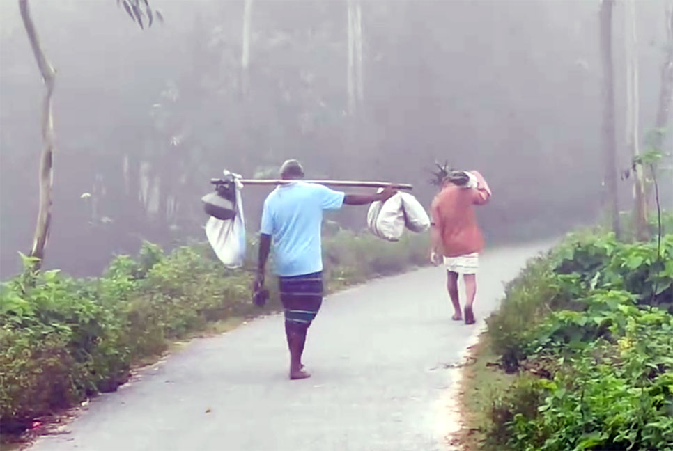 দিনাজপুরে কুয়াশায় শীতের আমেজ