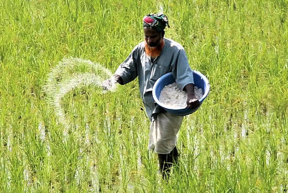 এক লাখ ৫০ হাজার টন সার কিনবে সরকার