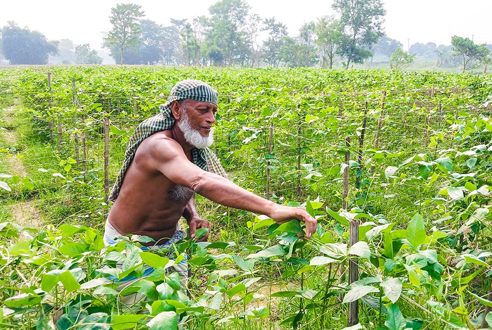 গোমতী চরের সবজির অপেক্ষায়