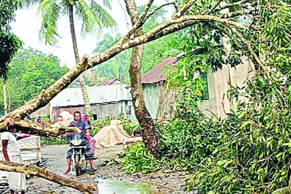 পাঁচ মিনিটের ঝড়ে লন্ডভন্ড