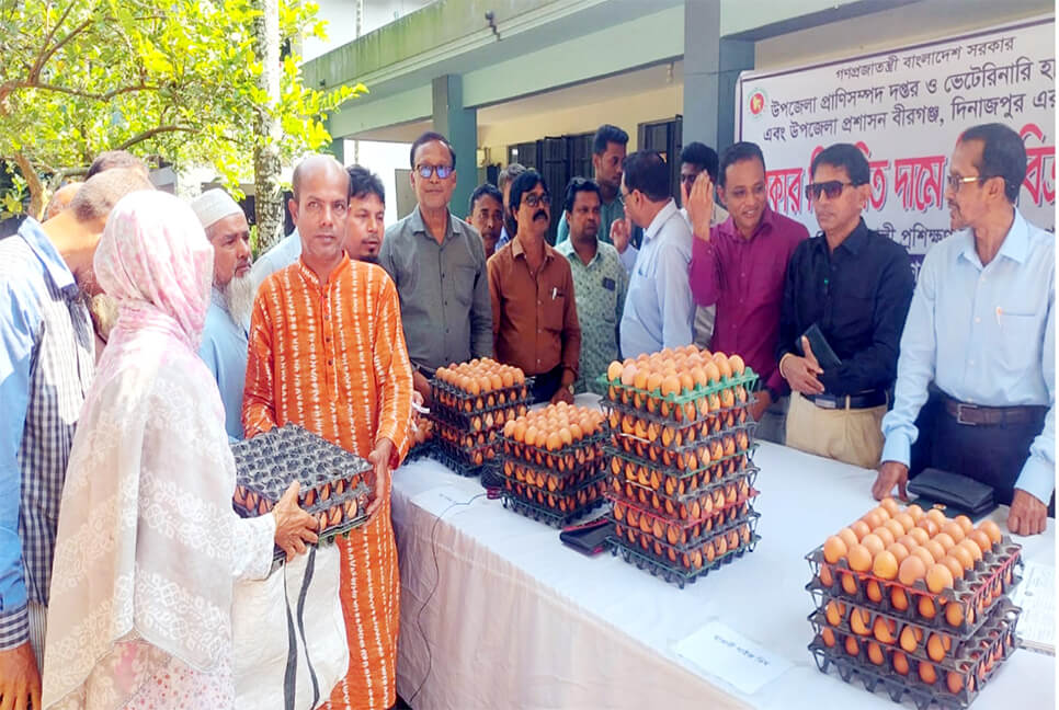 বীরগঞ্জে সরকার নির্ধারিত দামে ডিম বিক্রি