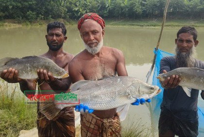 কৃত্রিম ফিড খাবারে কোরাল চাষে সফলতা