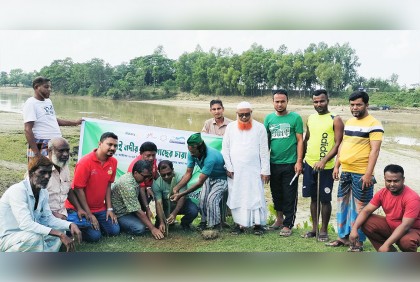 হবিগঞ্জে দুই শতাধিক তাল গাছের চারা রোপণ