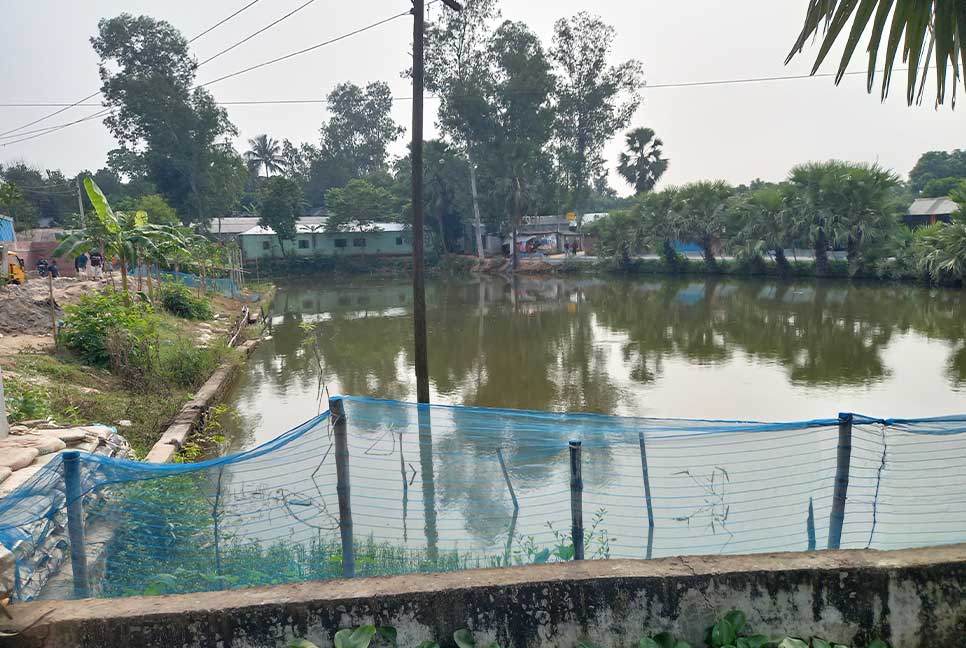 কালিয়াকৈরে পুকুর থেকে অজ্ঞাত দুই লাশ উদ্ধার