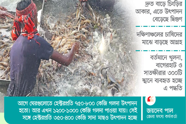 ক্লাস্টারে চিংড়ির নতুন সম্ভাবনা