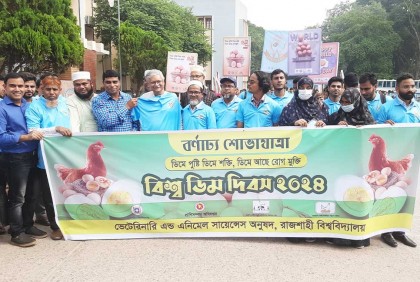 রাবিতে বিশ্ব ডিম দিবস পালিত