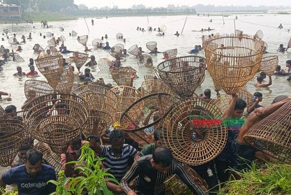 চলনবিলে এসে খালি হাতে ফিরলেন ৫ শতাধিক মাছ শিকারি