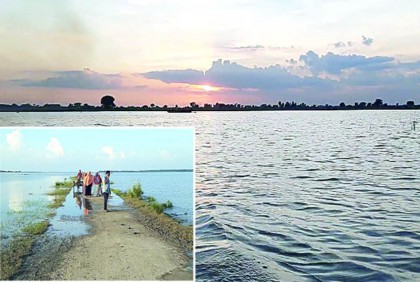 পর্যটকরা ছুটছেন রামদাস বিলে