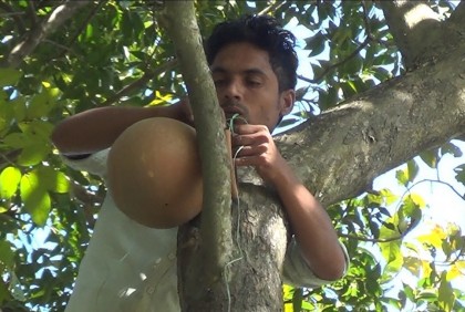 পাখির নিরাপদ আশ্রয়ে গাছে গাছে মাটির হাঁড়ি