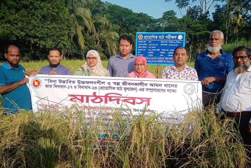 বরিশালের বাবুগঞ্জে বিনা ধান-১৭’র মাঠ দিবস