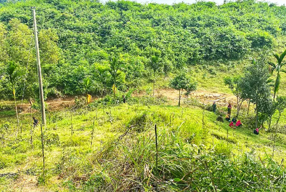 দখলে জর্জরিত লাউয়াছড়া জাতীয় উদ্যান