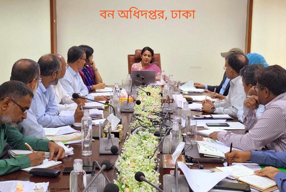 ইউক্যালিপটাস ও আকাশমণি গাছ রোপণ বন্ধ করবে বন বিভাগ